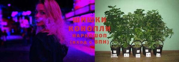 ГАЛЛЮЦИНОГЕННЫЕ ГРИБЫ Дмитриев