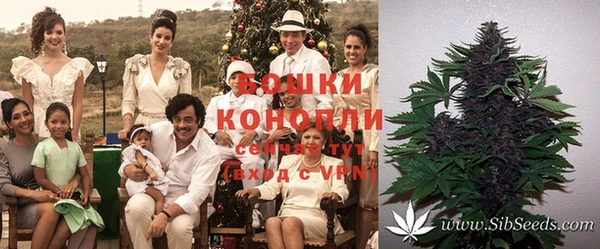 крисы Балахна