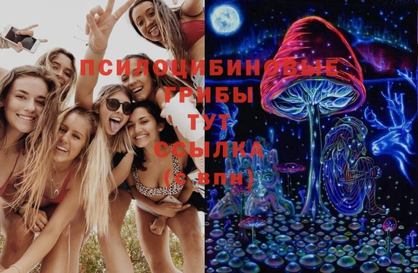 крисы Балахна
