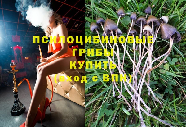 крисы Балахна